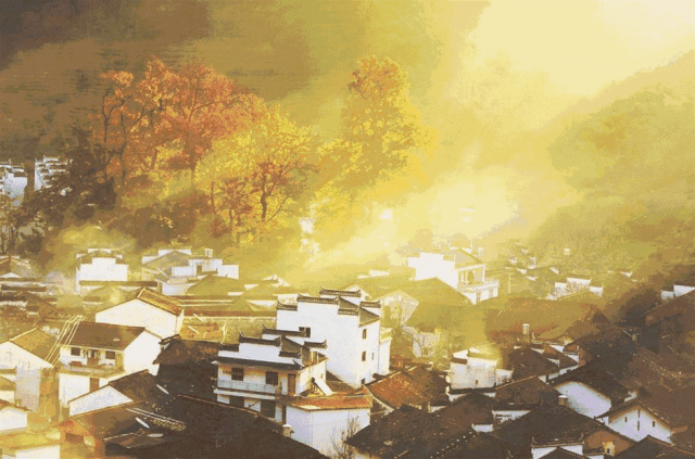 網動圖.gif 圖片